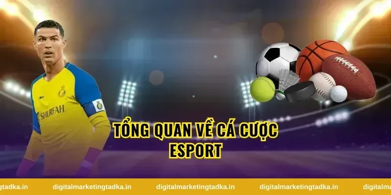 Tiêu Chí Chọn Nhà Cái Cá Cược Esport Uy Tín