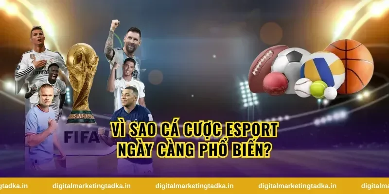 Cá Cược Esport Là Gì Và Tại Sao Ngày Càng Phổ Biến?