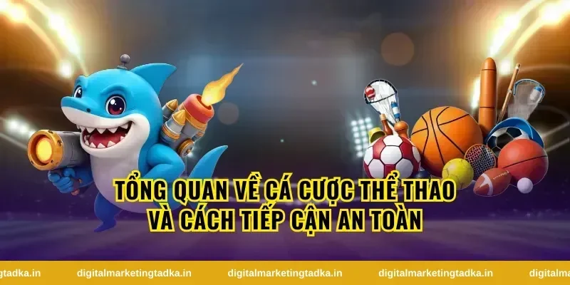 Tổng quan về cá cược thể thao và cách tiếp cận an toàn