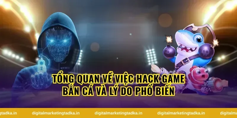 Hack Bắn Cá Là Gì? Hiểu Đúng Trước Khi Áp Dụng