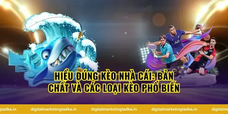 Hiểu đúng kèo nhà cái: bản chất và các loại kèo phổ biến