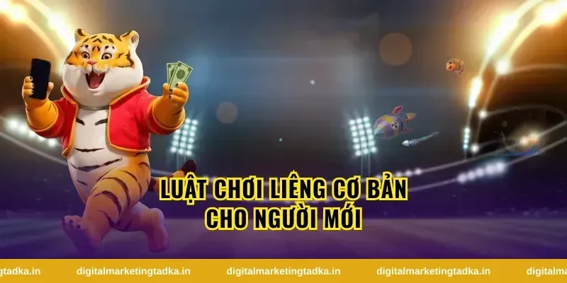 Tổng quan về liêng và sức hút của trò chơi