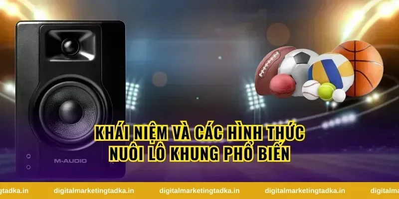 Khái Niệm Và Các Hình Thức Nuôi Lô Khung Phổ Biến