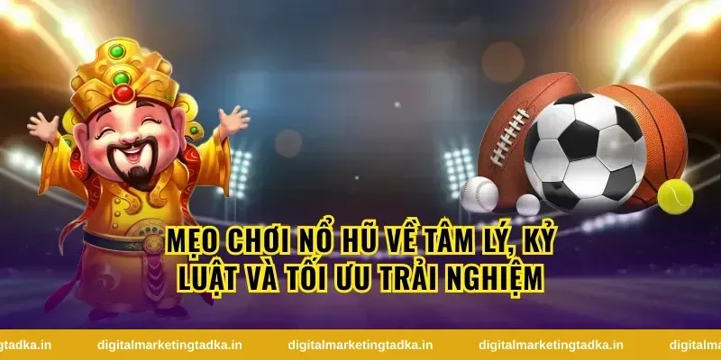 Kết luận