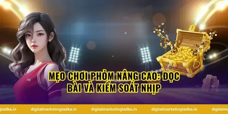 Chiến Thuật Chơi Phỏm Hiệu Quả Cho Người Mới