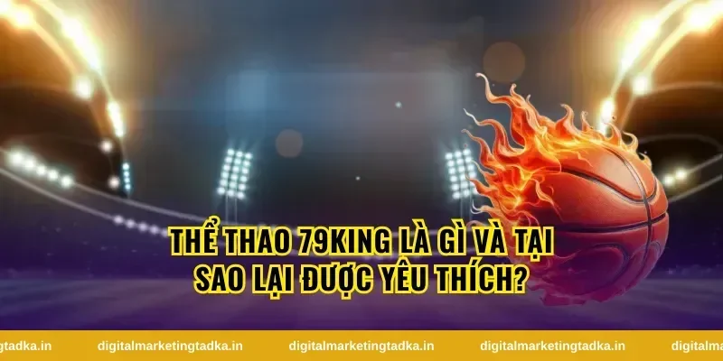 Thể Thao 79King Là Gì Và Tại Sao Lại Được Yêu Thích?