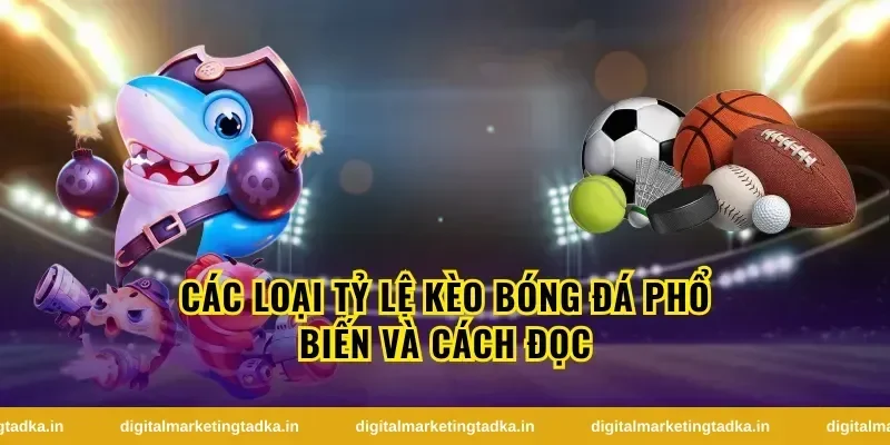 Các loại tỷ lệ kèo bóng đá phổ biến và cách đọc