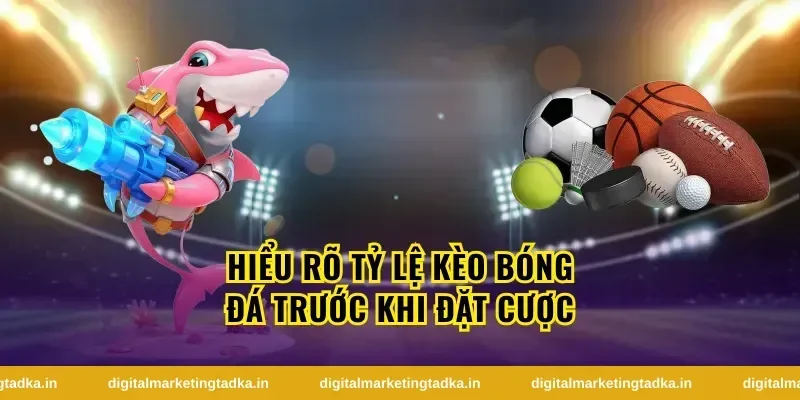 Hiểu rõ tỷ lệ kèo bóng đá trước khi đặt cược