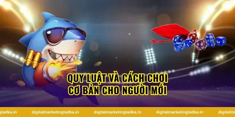 xóc đĩa là gì và vì sao trò chơi này phổ biến?
